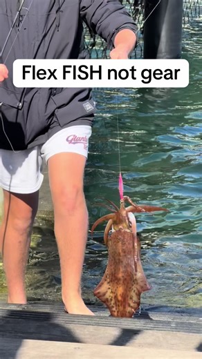 Bream Fishing Tips: Flex Fish, Not Gear