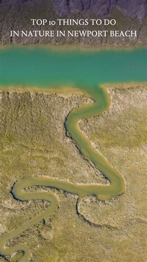 33 reactions · 21 comments | When it comes to outdoor activities, Newport Beach has some of the best. From tide pools teeming with marine life to biking trails with unbeatable views, here’s your ultimate guide to exploring the scenic side of Newport Beach.  Tap the link in our bio for more nature adventures! #visitnewportbeach #newportbeach #naturecollective #outdooractivities | Visit Newport Beach | Facebook