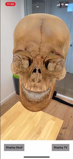 Learn how to build augmented reality apps with React Native