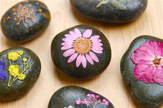 Pressed Flower Rocks | Easy Pressed Flower Craft