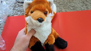 Watch Wild Republic Red Fox Plush, Stuffed Animal, Plush Toy, on Amazon Live