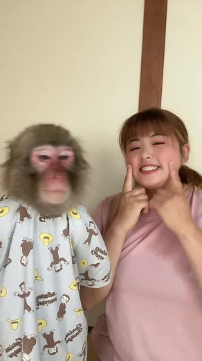 日光さる軍団のかわいいモンキー