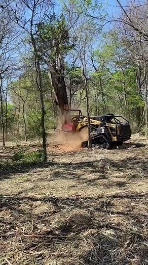 Hydro Axe Mulching & Killin' It