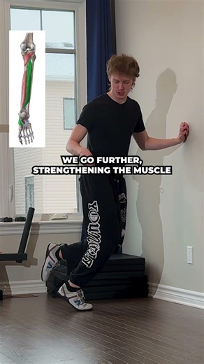 Fix Shin Splints By Building Strength in this Muscle