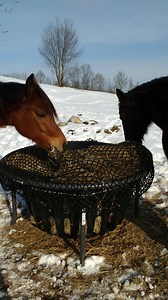 Hay Basket Topper - Hay Burners Equine LLC