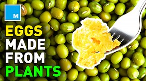 This plant-based egg tastes just like a real egg