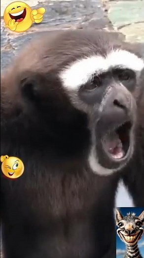 Try Not To Laugh 😂 Funniest Animal Sounds Ever 🐾 #funnyanimals #animals #funny #comedy #viral #short