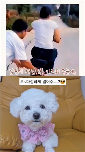 다정하게 자전거 가르쳐주다 대참사 ㅋㅋㅋ (ft. 남편의 찐사랑?) 🤣