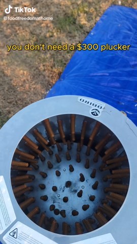 Unpopular opinion but You don’t need a $300 plucker to do this. Most people assume processing chickens requires expensive equipment and a big farm setup. The truth is… simple systems work just fine for small batches. And