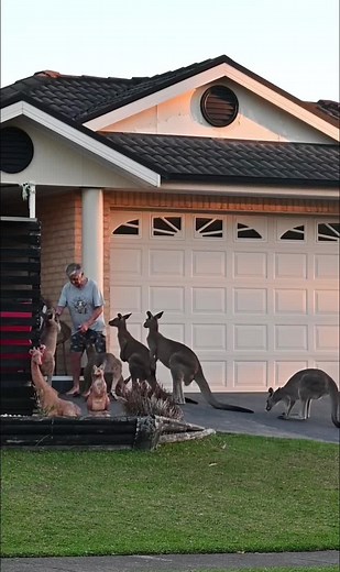 Cuddling Kangaroos and Embracing Nature in Rural Australia