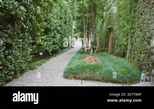 Blurred garden gravel path framed by dense hedges with soft bokeh and defocused foliage in the background; background backplate copyspace calm Stock Video Footage - Alamy