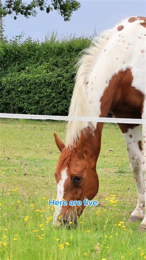 1K views · 11 reactions | 5 benefits of a track system! ⭐It...