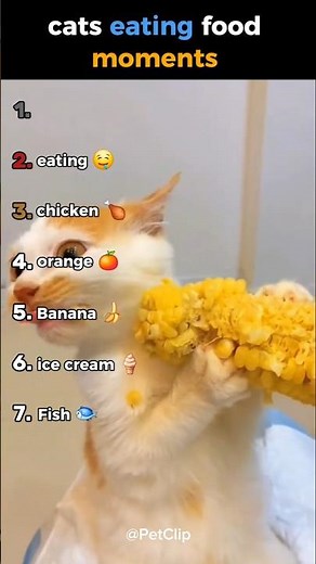 cats eating food 😋 #ranking #funny #cuteanimals #cutecats #food