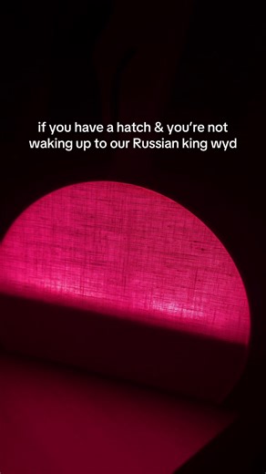 Wake Up Stretch Routine for Better Mornings