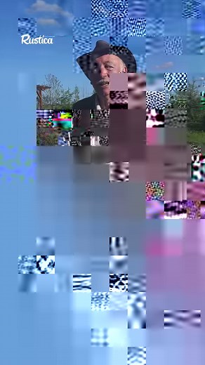 91K views · 992 reactions | Jardinage sur sol humide : défis et astuces ! ️ Les sols humides peuvent être délicats à gérer, mais ils offrent aussi des opportunités uniques. Découvrez comment maximiser votre jardin malgré l'excès d'humidité, en évitant les maladies et en favorisant une croissance saine des plantes. #jardinage #sol #humide #hubertlejardinier #jardin #innodations | Rustica | Facebook