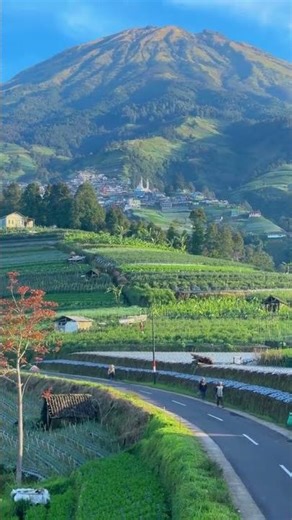The beauty of Mount Sumbing on the road between Nepal van Java and Sukomakmur #tourism #sukomakm