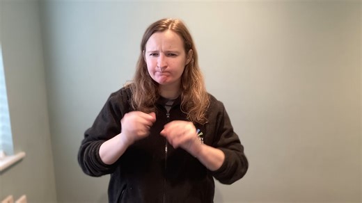 Website Survey in British Sign Language