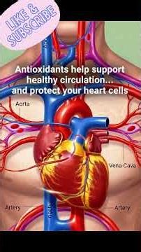 Realistic 3D Medical Animation of a Man Eating Grapes 🍇 | Transparent Digestion View.@movingscience