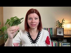 Biofilmele - Motivul pentru care infecțiile revin - Maria Plăiaș