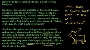 Analyzing relationships in informational texts