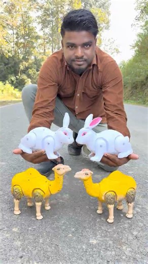 Remote control 4 Battery Operated Rabbit ke Camel #shorts