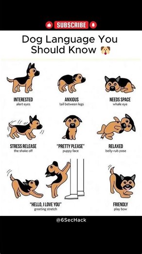 #nivetadhingramusic 😙