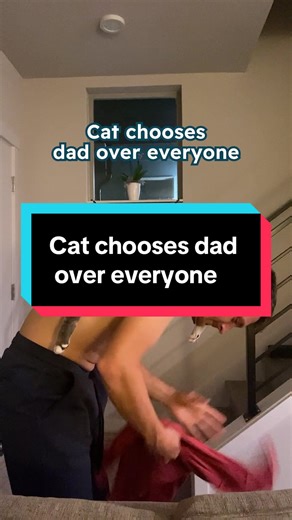Cat Turns Dog Person Into Cat Dad
