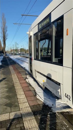 ViP (Potsdam) Tramlink Wg. 442 H Marie-Juchacz-Str.