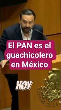 el pan es el principal guachicoleros en México #noticias #presidentademexico