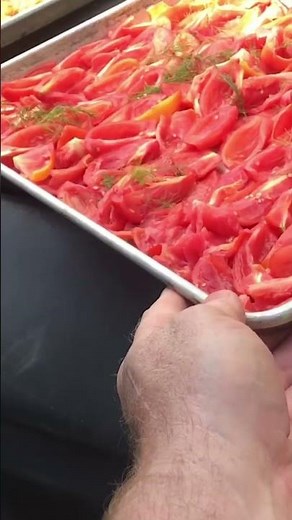 how to make SUN DRIED TOMATOES (at home)