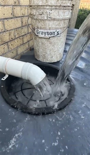 Grayson's Gutter Cleaners Flush Watertank Filter