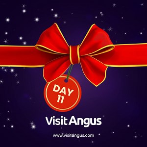 🐮✨ Day 11 of the 12 Days of Angus Cheer! ✨🐮 Today’s prize is an unforgettable experience: A Highland Cow Experience for four with Newton Farm Tours, by Forfar! 🐂 Get up close with these iconic Scottish animals, learn all about them, and capture some amazing photos during your visit! This experience is suitable for any age and mobility with the introduction of Newton Farm’s new accessible trailer to take you along to the highland cows and ensure everyone can get up close to these iconic animal