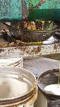 oil machine to Purifier master oil👀🔥long process #Small oil industry #oil refinery oldest digboi 👀🔥🔥