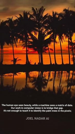 When AI Learns to See Like Us | The Beauty Behind Computer Vision 🌴