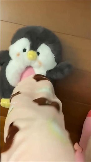 viral prank video 🤣 #funny #funnyvideo