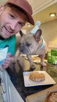 Dog friendly birthday cake recipe 🎉 🎂🥳 #dogrecipe #dogcake #dogbirthday #birthdaydog