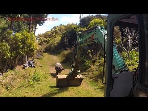 Angry Ram takes on a 6 ton digger