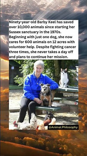 Barby Keel's Animal Sanctuary: Where 10,000 Lives Found Hope
