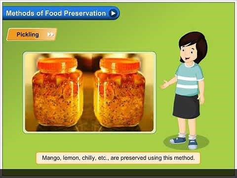 Methods of Food Preservation | Environmental Studies Class 5