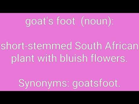 Goat's Foot Definition & Meaning
