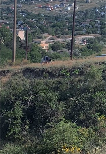 Exploring Quadrobics with Therian Moves