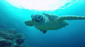 Keep an eye out for the unexpected and capture it with GoPro. #ExperienceDifferent | GoPro