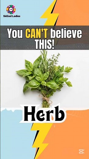 How Do You Pronounce Herb? 🤔 | British vs American