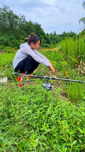 fishcampvietnam on Instagram: "Spring-Loaded Automatic Fishing Rod Holder – Stainless Steel, High-Sensitivity, Adjustable Bracket for Easy Fishing #fishinggear #fishingaddict #fishinglife #fishingcommunity #fishingfun #fishingdaily #fishingtrip #fishing #fishingusa"