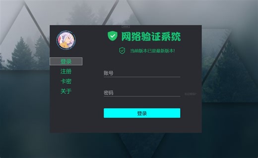 MyAuth网络验证WPF例子