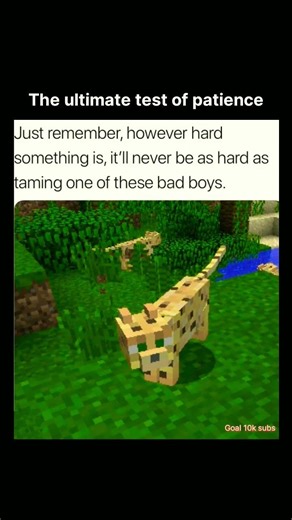 The hardest task in Minecraft history... 🐆💀 #minecraft #shorts #ogminecraft