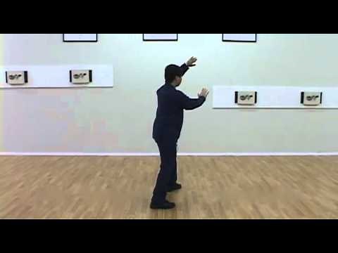 Yang Family Tai Chi Fair Lady Works Shuttles