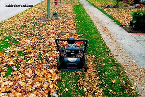 How To Keep Leaves From Blowing Out From Mower Deck? Tips To Follow - Inside The Yard