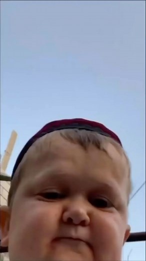 Hasbulla on Instagram: "#hasbulla"