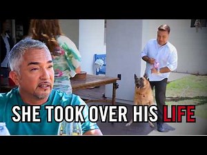 How to Help an Aggressive Dog and Reconnect With Family